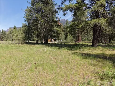 4 Mazama Meadows Ln, Mazama, WA 98833