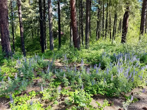 11 Highland Mdws, Winthrop, WA 98862