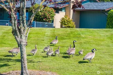 1301 S Third Ave #20B, Sequim, WA 98382 photo 31
