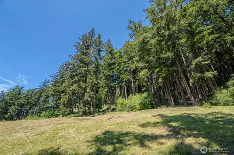 521 Vusario Ln, Orcas Island, WA 98245 photo 5