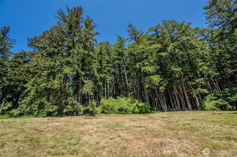 521 Vusario Ln, Orcas Island, WA 98245 photo 6
