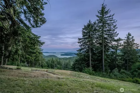 521 Vusario Ln, Orcas Island, WA 98245 photo 26