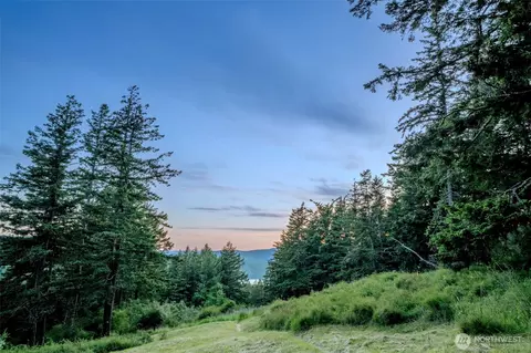 521 Vusario Ln, Orcas Island, WA 98245 photo 28
