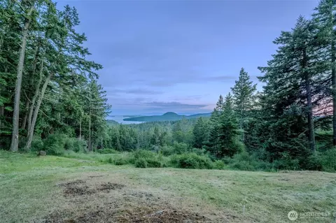 521 Vusario Ln, Orcas Island, WA 98245 photo 29
