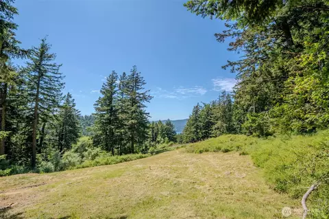 521 Vusario Ln, Orcas Island, WA 98245 photo 10