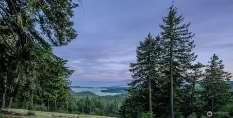 521 Vusario Ln, Orcas Island, WA 98245 photo 23