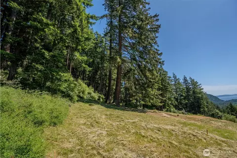 521 Vusario Ln, Orcas Island, WA 98245 photo 7