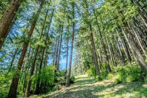 521 Vusario Ln, Orcas Island, WA 98245 photo 2