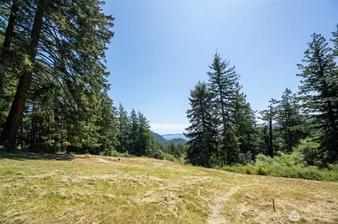 521 Vusario Ln, Orcas Island, WA 98245 photo 9