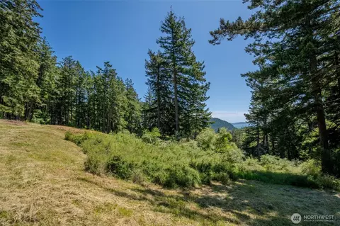 521 Vusario Ln, Orcas Island, WA 98245 photo 15
