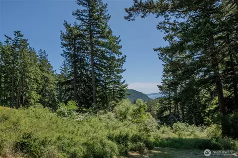 521 Vusario Ln, Orcas Island, WA 98245 photo 12