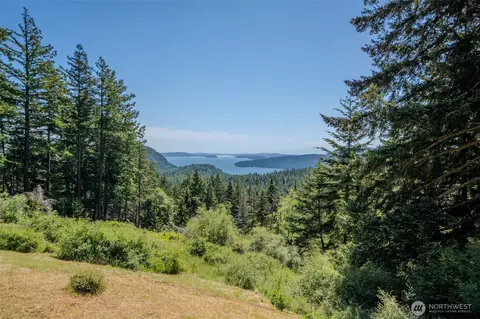 521 Vusario Ln, Orcas Island, WA 98245 photo 13