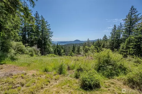 521 Vusario Ln, Orcas Island, WA 98245 photo 14