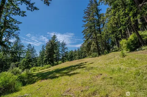 521 Vusario Ln, Orcas Island, WA 98245 photo 16