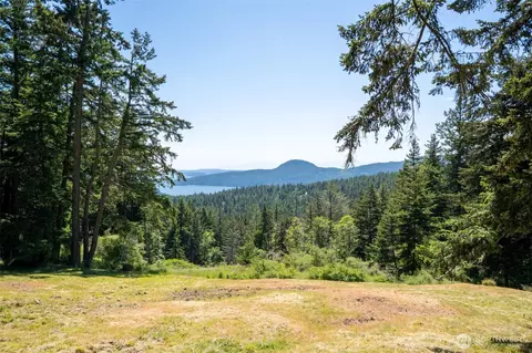 521 Vusario Ln, Orcas Island, WA 98245 photo 4