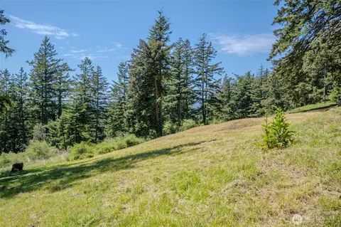 521 Vusario Ln, Orcas Island, WA 98245 photo 11