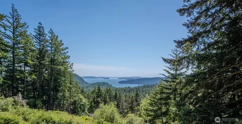 521 Vusario Ln, Orcas Island, WA 98245