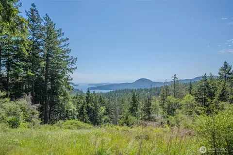 521 Vusario Ln, Orcas Island, WA 98245 photo 3