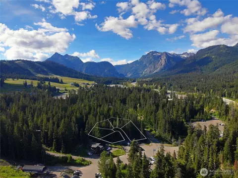 67891011 Nn Pine Ln, Snoqualmie Pass, WA 98068