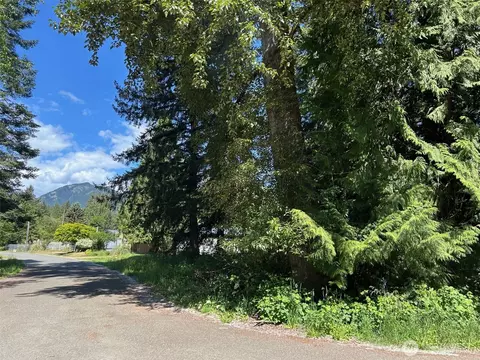 201 Morgan Ln, Brinnon, WA 98320