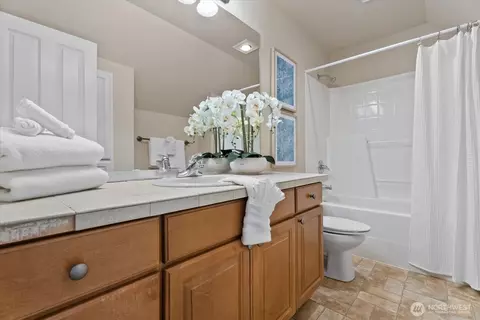 Bath - 822 235th Pl SE, Bothell, WA 98021 photo 3 of 3
