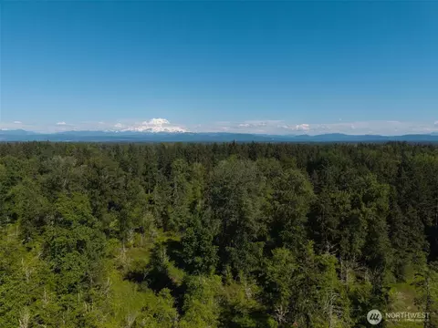 1716 304th St E, Roy, WA 98360 photo 19
