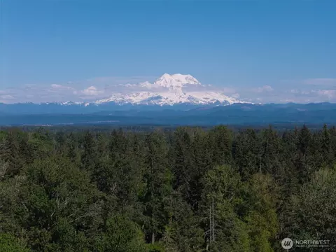 1716 304th St E, Roy, WA 98360 photo 20