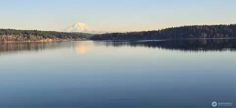 16418 94th St SW, Longbranch, WA 98351