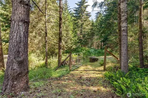 Exterior - 110 E Glacier Crest Rd, Grapeview, WA 98546 photo 10 of 12