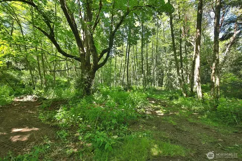 0 Foxglove, Langley, WA 98260