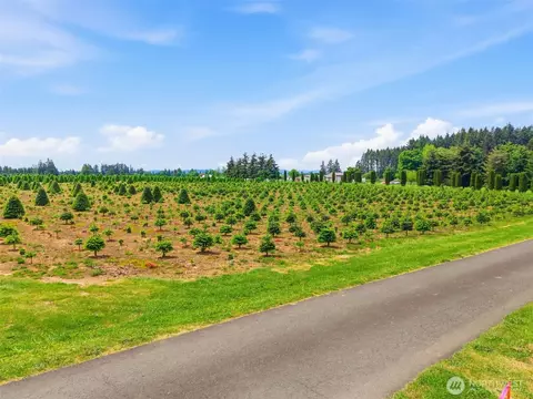 2 Shiloh Rd, Winlock, WA 98596 photo 11