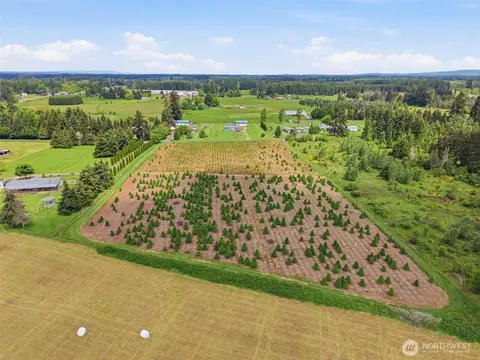 2 Shiloh Rd, Winlock, WA 98596 photo 13