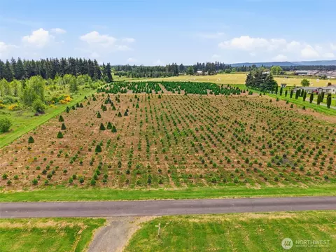 2 Shiloh Rd, Winlock, WA 98596 photo 12