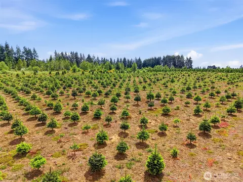 2 Shiloh Rd, Winlock, WA 98596 photo 7