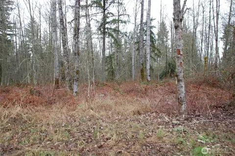 31809 116th Ave E, Graham, WA 98338