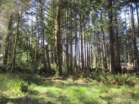 111 Olympic View Ave NE, Ocean Shores, WA 98569