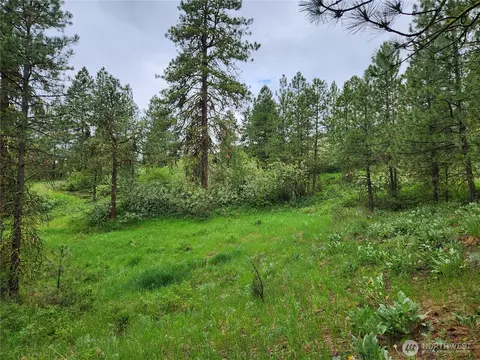 0 74 75 Gold Mt Rd, Republic, WA 99166
