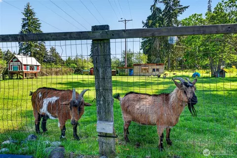 Exterior - 22814 46th Ave E, Spanaway, WA 98387 photo 4 of 13