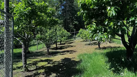 Exterior - 41216 305 Ave SE, Enumclaw, WA 98022 photo 8 of 12