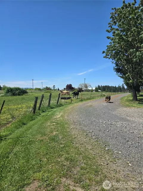 205 Nikula Rd, Winlock, WA 98596 photo 26