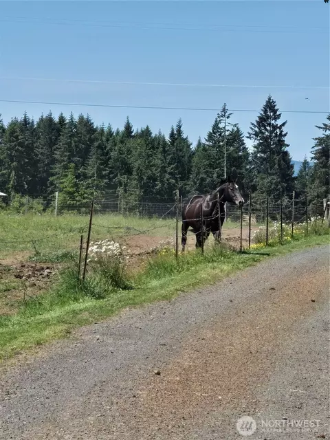 205 Nikula Rd, Winlock, WA 98596 photo 28