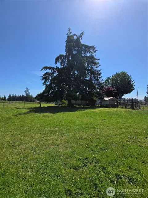 205 Nikula Rd, Winlock, WA 98596 photo 11