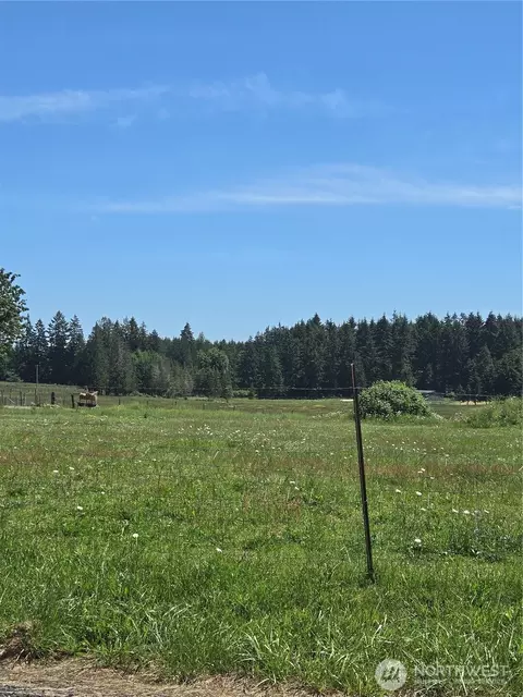 205 Nikula Rd, Winlock, WA 98596 photo 31