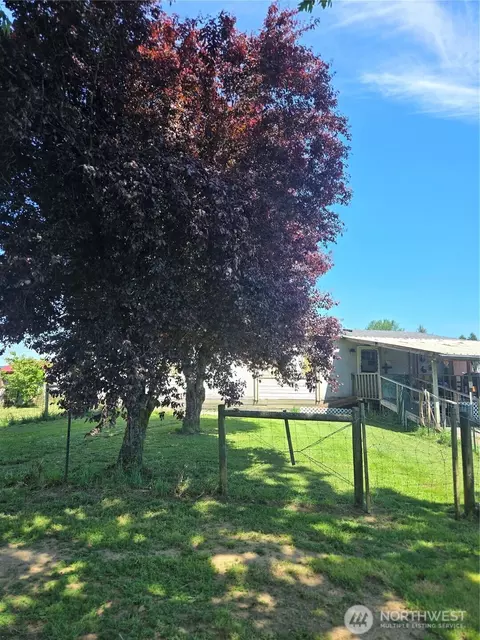 205 Nikula Rd, Winlock, WA 98596 photo 3