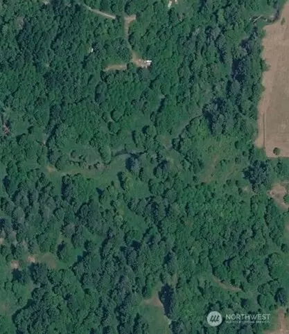 0 Cedar Grove Rd, Randle, WA 98377