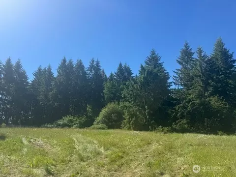 692 24 Burchett Rd, Onalaska, WA 98570