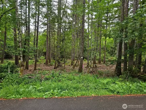 870 E Wilson Way, Grapeview, WA 98546 photo 2