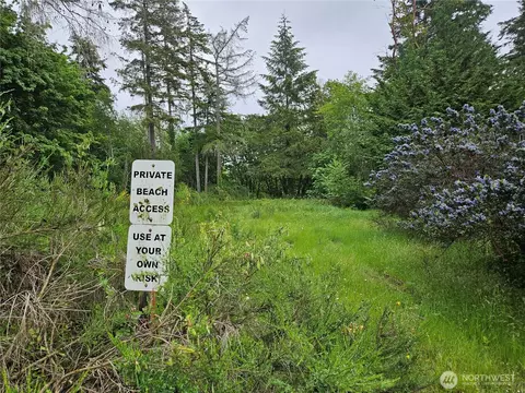 870 E Wilson Way, Grapeview, WA 98546 photo 7