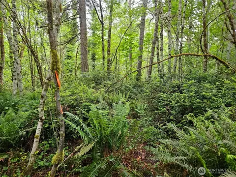 870 E Wilson Way, Grapeview, WA 98546 photo 5