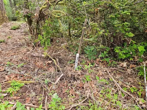 870 E Wilson Way, Grapeview, WA 98546 photo 8